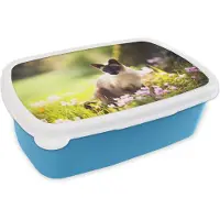 MuchoWow Broodtrommel Blauw - Lunchbox - Brooddoos - Siamese kat tussen de roze bloemen - 18x12x6 cm - Kinderen - Jongen