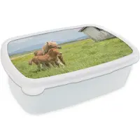 MuchoWow Broodtrommel Wit - Lunchbox - Brooddoos - Paarden - Veulen - Berg - 18x12x6 cm - Volwassenen