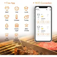 Inkbird IBBQ-4T WIFI Thermometer