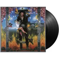 MUSIC ON VINYL Passion & Warfare