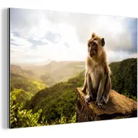 MuchoWow Wanddecoratie Metaal - Aluminium Schilderij Industrieel - Aap - Rots - Dieren - Berg - Mos - 60x40 cm - Dibond - Foto op aluminium - Industriële muurdecoratie - Voor de woonkamer/slaapkamer