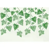 Consalnet Fotobehang Planten Hedera XXL – posterbehang – 368 x 254 cm – Groen
