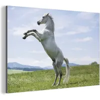 MuchoWow Wanddecoratie Metaal - Aluminium Schilderij Industrieel - Paard - Steigeren - Natuur - 30x20 cm - Dibond - Foto op aluminium - Industriële muurdecoratie - Voor de woonkamer/slaapkamer