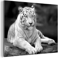 MuchoWow Wanddecoratie Metaal - Aluminium Schilderij Industrieel - Tijger - Boom - Wit - Zwart - 80x60 cm - Dibond - Foto op aluminium - Industriële muurdecoratie - Voor de woonkamer/slaapkamer