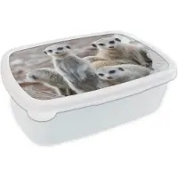 MuchoWow Broodtrommel Wit - Lunchbox - Brooddoos - Nieuwsgierige stokstaartjes - 18x12x6 cm - Volwassenen