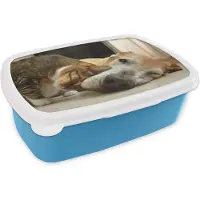 MuchoWow Broodtrommel Blauw - Lunchbox - Brooddoos - Kat - Hond - Dieren - 18x12x6 cm - Kinderen - Jongen