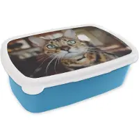 MuchoWow Broodtrommel Blauw - Lunchbox - Brooddoos - Kat - Snorharen - Portret - 18x12x6 cm - Kinderen - Jongen