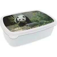MuchoWow Broodtrommel Wit - Lunchbox - Brooddoos - Panda - Boomstam - Grot - 18x12x6 cm - Volwassenen