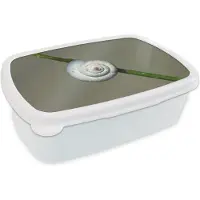 MuchoWow Broodtrommel Wit - Lunchbox - Brooddoos - Wit slakkenhuis aan een stengel - 18x12x6 cm - Volwassenen