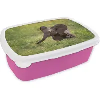 MuchoWow Broodtrommel Roze - Lunchbox - Brooddoos - Olifant - Baby - Kalf - 18x12x6 cm - Kinderen - Meisje
