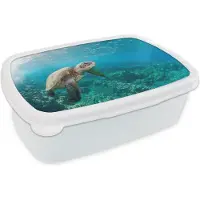 MuchoWow Broodtrommel Wit - Lunchbox - Brooddoos - Een schildpad boven het koraalrif in Hawaï - 18x12x6 cm - Volwassenen