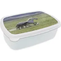 MuchoWow Broodtrommel Wit - Lunchbox - Brooddoos - Paarden - Veulen - Bruin - 18x12x6 cm - Volwassenen