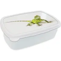 MuchoWow Broodtrommel Wit - Lunchbox - Brooddoos - Hagedis - Reptiel - Wit - 18x12x6 cm - Volwassenen