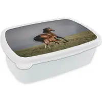 MuchoWow Broodtrommel Wit - Lunchbox - Brooddoos - Dieren - Paarden - Veulen - 18x12x6 cm - Volwassenen
