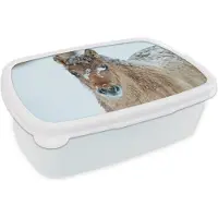 MuchoWow Broodtrommel Wit - Lunchbox - Brooddoos - Jong fjord paard bedekt met sneeuw - 18x12x6 cm - Volwassenen