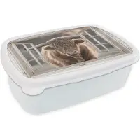 MuchoWow Broodtrommel Wit - Lunchbox - Brooddoos - Schotse hooglander - Dier - Doorkijk - 18x12x6 cm - Volwassenen