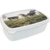 MuchoWow Broodtrommel Wit - Lunchbox - Brooddoos - Koe - Gras - Mist - 18x12x6 cm - Volwassenen