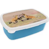 MuchoWow Broodtrommel Blauw - Lunchbox - Brooddoos - Vossen - Bloemen - Portret - 18x12x6 cm - Kinderen - Jongen