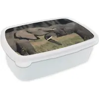 MuchoWow Broodtrommel Wit - Lunchbox - Brooddoos - Stoeiende olifanten - 18x12x6 cm - Volwassenen