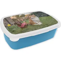 MuchoWow Broodtrommel Blauw - Lunchbox - Brooddoos - Hond - Kat - Tuin - 18x12x6 cm - Kinderen - Jongen