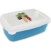 MuchoWow Broodtrommel Blauw - Lunchbox - Brooddoos - Eten - Bessen - Fruit - 18x12x6 cm - Kinderen - Jongen