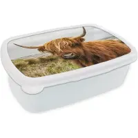 MuchoWow Broodtrommel Wit - Lunchbox - Brooddoos - Schotse hooglander - Koe - Duinen - 18x12x6 cm - Volwassenen