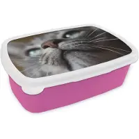 MuchoWow Broodtrommel Roze - Lunchbox - Brooddoos - Kat - Neus - Snorharen - 18x12x6 cm - Kinderen - Meisje