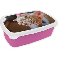 MuchoWow Broodtrommel Roze - Lunchbox - Brooddoos - Egel wordt vastgehouden - 18x12x6 cm - Kinderen - Meisje