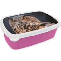 MuchoWow Broodtrommel Roze - Lunchbox - Brooddoos - Een close-up van een bruine uil - 18x12x6 cm - Kinderen - Meisje