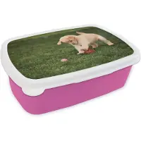 MuchoWow Broodtrommel Roze - Lunchbox - Brooddoos - Puppy speelt met bal - 18x12x6 cm - Kinderen - Meisje