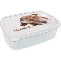 MuchoWow Broodtrommel Wit - Lunchbox - Brooddoos - Liggende hond fotoprint - 18x12x6 cm - Volwassenen