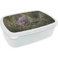 MuchoWow Broodtrommel Wit - Lunchbox - Brooddoos - Een kleine bruine uil zit naar voren te staren - 18x12x6 cm - Volwassenen