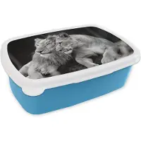 MuchoWow Broodtrommel Blauw - Lunchbox - Brooddoos - Vrouwelijke en mannelijke leeuw liggend op de grond - zwart wit - 18x12x6 cm - Kinderen - Jongen