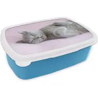 MuchoWow Broodtrommel Blauw - Lunchbox - Brooddoos - Grijze kat slaapt op een roze kleed - 18x12x6 cm - Kinderen - Jongen