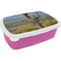 MuchoWow Broodtrommel Roze - Lunchbox - Brooddoos - Luipaard - Boom - Dier - 18x12x6 cm - Kinderen - Meisje