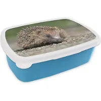 MuchoWow Broodtrommel Blauw - Lunchbox - Brooddoos - Egel op grind - 18x12x6 cm - Kinderen - Jongen