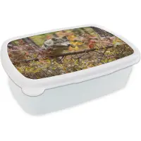 MuchoWow Broodtrommel Wit - Lunchbox - Brooddoos - Wolf - Tak - Bos - 18x12x6 cm - Volwassenen