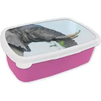 MuchoWow Broodtrommel Roze - Lunchbox - Brooddoos - Close-up van een Afrikaanse olifant - 18x12x6 cm - Kinderen - Meisje