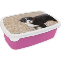 MuchoWow Broodtrommel Roze - Lunchbox - Brooddoos - Berner Sennenhond puppy in de ochtend - 18x12x6 cm - Kinderen - Meisje