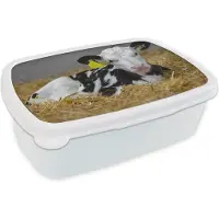 MuchoWow Broodtrommel Wit - Lunchbox - Brooddoos - Koe - Stro - Kalf - Dier - 18x12x6 cm - Volwassenen