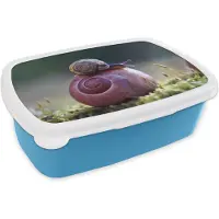MuchoWow Broodtrommel Blauw - Lunchbox - Brooddoos - Slakken - Gras - Lente - 18x12x6 cm - Kinderen - Jongen