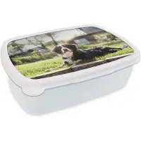 MuchoWow Broodtrommel Wit - Lunchbox - Brooddoos - Zonnestralen langs de Berner Sennenhond - 18x12x6 cm - Volwassenen