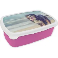 MuchoWow Broodtrommel Roze - Lunchbox - Brooddoos - Een Berner Sennenhond loopt over het strand - 18x12x6 cm - Kinderen - Meisje