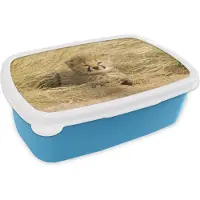 MuchoWow Broodtrommel Blauw - Lunchbox - Brooddoos - Cheeta - Jong - Gras - 18x12x6 cm - Kinderen - Jongen