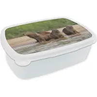 MuchoWow Broodtrommel Wit - Lunchbox - Brooddoos - Capibarafamilie aan het water - 18x12x6 cm - Volwassenen