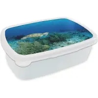 MuchoWow Broodtrommel Wit - Lunchbox - Brooddoos - Groene zeeschildpad op Bonaire - 18x12x6 cm - Volwassenen