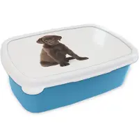 MuchoWow Broodtrommel Blauw - Lunchbox - Brooddoos - Chocolade labrador puppy voor witte achtergrond - 18x12x6 cm - Kinderen - Jongen