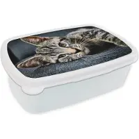 MuchoWow Broodtrommel Wit - Lunchbox - Brooddoos - Poes - Bank - Licht - 18x12x6 cm - Volwassenen