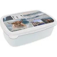 MuchoWow Broodtrommel Wit - Lunchbox - Brooddoos - Schotse Hooglander - Collage - Waterval - Palmboom - 18x12x6 cm - Volwassenen