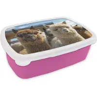 MuchoWow Broodtrommel Roze - Lunchbox - Brooddoos - Alpaca - Vrolijk - Bruin - Wit - 18x12x6 cm - Kinderen - Meisje